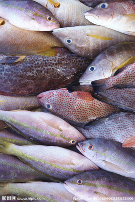 水產(chǎn)品 餐飲美食中的瑰寶，水產(chǎn)魚攝影圖賞