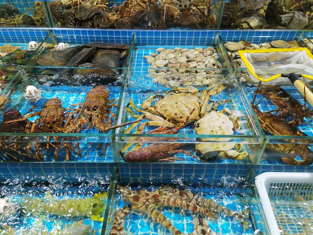 高端水產(chǎn)品價(jià)格探秘 為何一些水產(chǎn)售價(jià)如此昂貴？