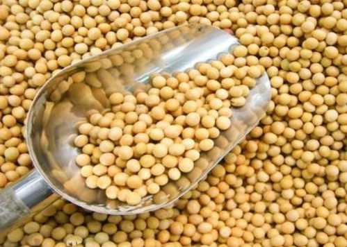 寧波進口食品排行榜揭曉 水產品榮登榜首，吃貨最愛一覽