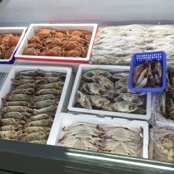 北京西南郊肉類水產品市場全攻略 電話、地址、價格與營業時間