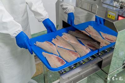 開辟“預制菜”新賽道，大黃魚游向水產品市場藍海