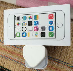 iPhone 5s原裝充電器與耳機交易指南 家電與數碼產品區選購技巧